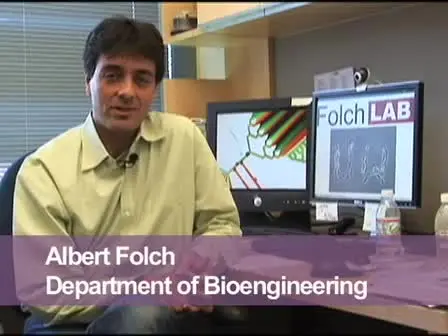 BioMEMS and Cellular Biology: Perspectives and Applications