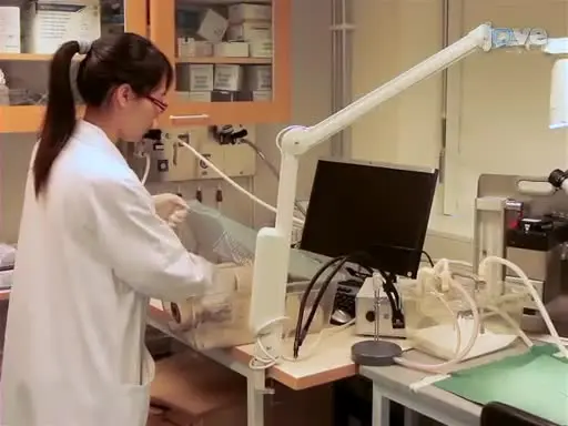Modified Technique for Coronary Artery Ligation in Mice