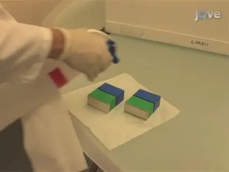 Quantifying Cognitive Decrements Caused by Cranial Radiotherapy