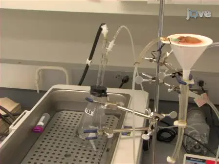 <em>In vivo</em> Liver Endocytosis Followed by Purification of Liver Cells by Liver Perfusion