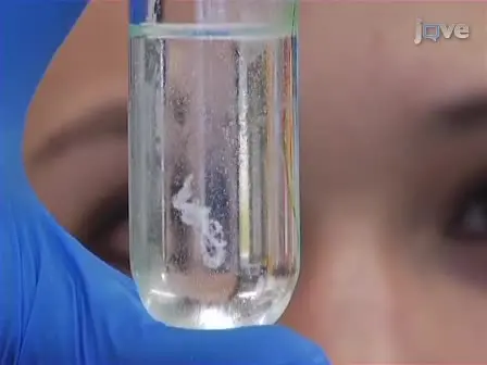 Preparation of Viral DNA from Nucleocapsids