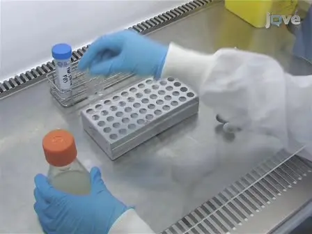 A Functional Whole Blood Assay to Measure Viability of Mycobacteria, using Reporter-Gene Tagged BCG or M.Tb (BCG <em>lux</em>/M.Tb <em>lux</em>)