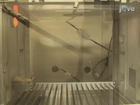 A General Method for Evaluating Incubation of Sucrose Craving in Rats