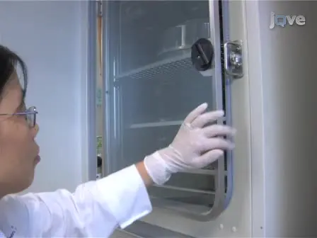 Production and Detection of Reactive Oxygen Species (ROS) in Cancers