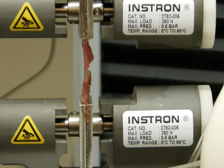 A Chitosan Based, Laser Activated Thin Film Surgical Adhesive, 'SurgiLux': Preparation and Demonstration