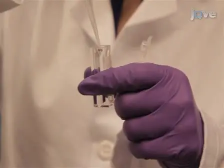 Measuring Peptide Translocation into Large Unilamellar Vesicles