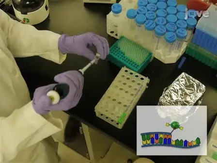 Locked Nucleic Acid Flow Cytometry-fluorescence <em>in situ</em> Hybridization (LNA flow-FISH): a Method for Bacterial Small RNA Detection