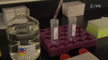 Multiplexed Fluorometric ImmunoAssay Testing Methodology and Troubleshooting