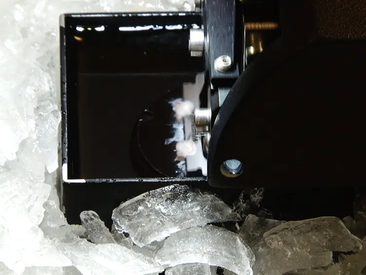 Preparation of Parasagittal Slices for the Investigation of Dorsal-ventral Organization of the Rodent Medial Entorhinal Cortex