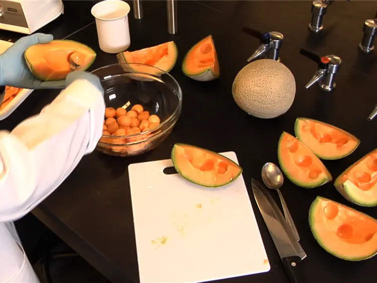 Fruit Volatile Analysis Using an Electronic Nose