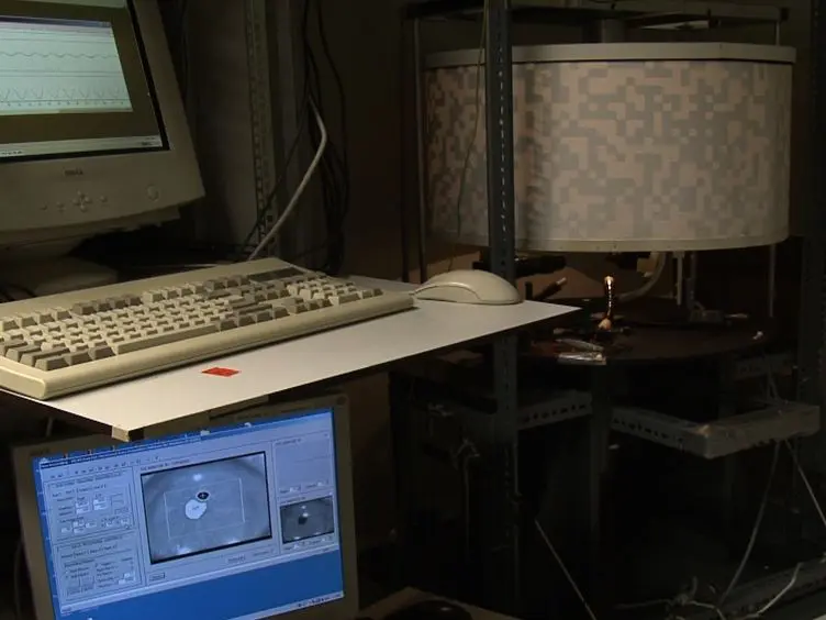 Video-oculography in Mice