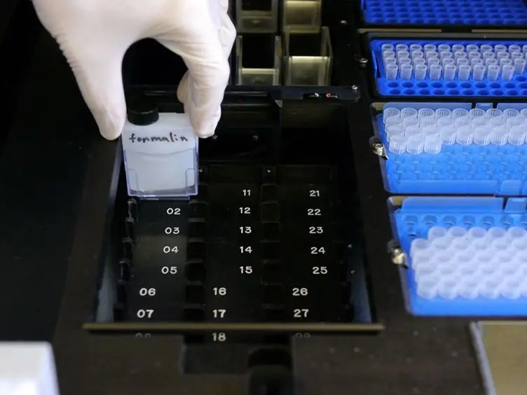 High-throughput Physical Mapping of Chromosomes using Automated <em>in situ</em> Hybridization