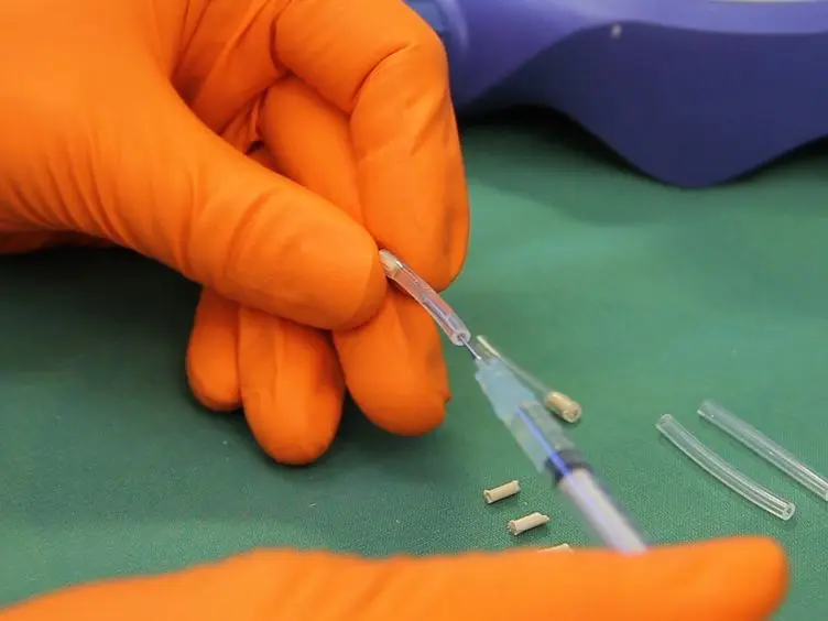 Ovariectomy and 17&beta;-estradiol Replacement in Rats and Mice: A Visual Demonstration