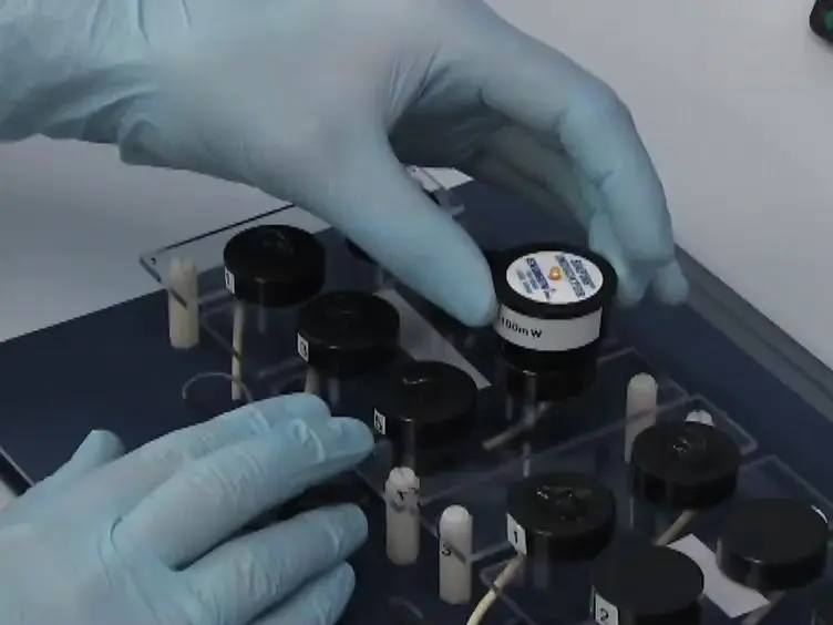 Induction of Adhesion-dependent Signals Using Low-intensity Ultrasound