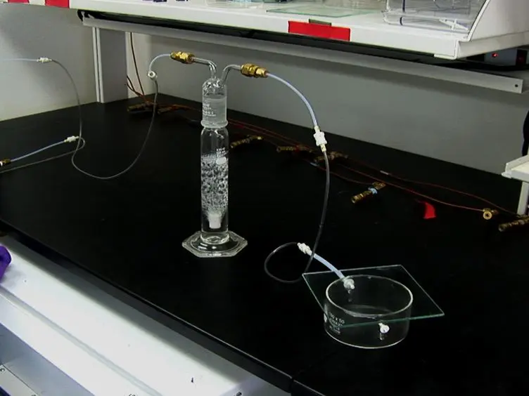 Creating Defined Gaseous Environments to Study the Effects of Hypoxia on <em>C. elegans</em>