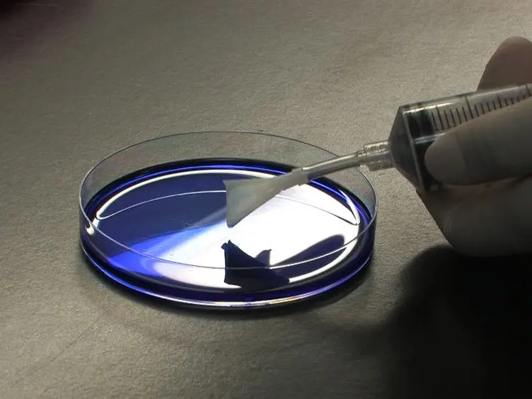 Sampling Human Indigenous Saliva Peptidome Using a Lollipop-Like Ultrafiltration Probe: Simplify and Enhance Peptide Detection for Clinical Mass Spectrometry
