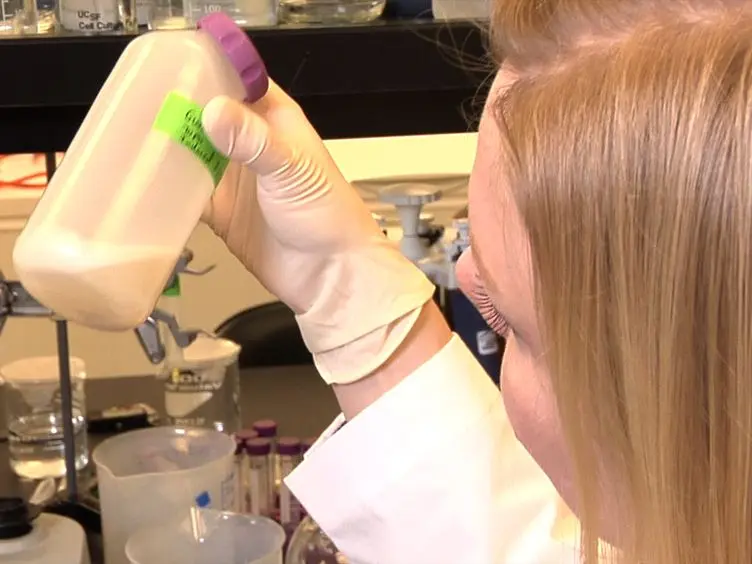 Synthetic Spider Silk Production on a Laboratory Scale