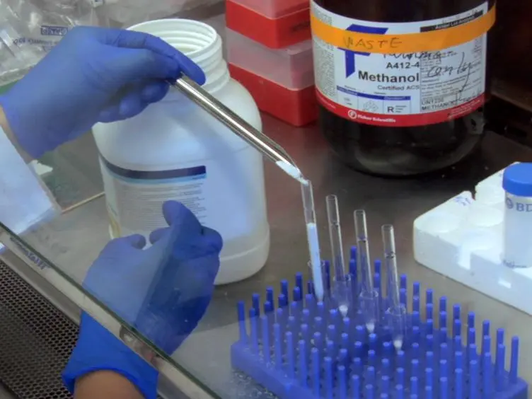 Mass Spectrometric Analysis of Glycosphingolipid Antigens