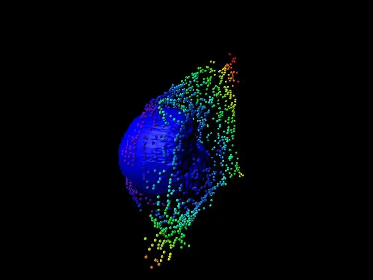 An Analytical Tool that Quantifies Cellular Morphology Changes from Three-dimensional Fluorescence Images