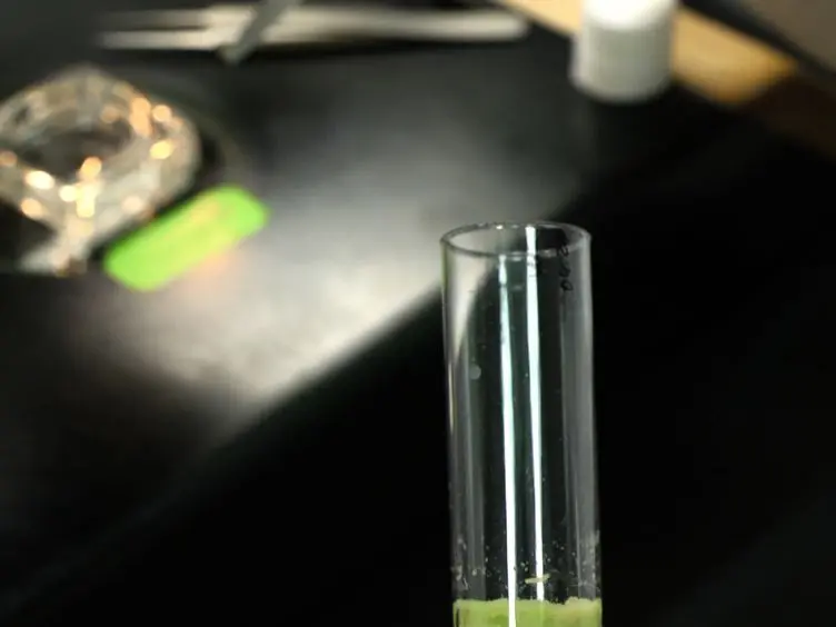 <em>Ex vivo</em> Culturing of Whole, Developing <em>Drosophila</em> Brains
