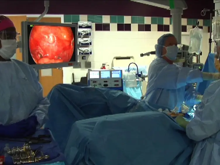 Intraoperative Detection of Subtle Endometriosis: A Novel Paradigm for Detection and Treatment of Pelvic Pain Associated with the Loss of Peritoneal Integrity