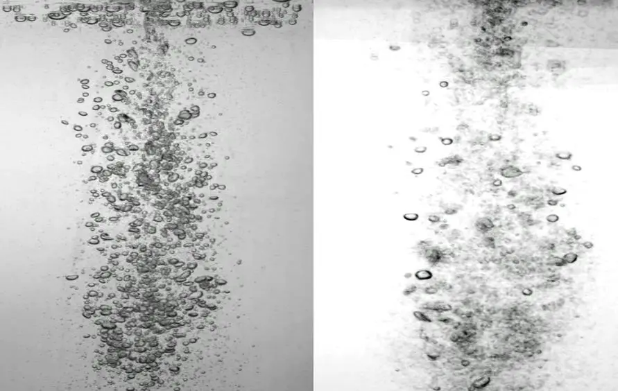 Determining 3D Flow Fields via Multi-camera Light Field Imaging