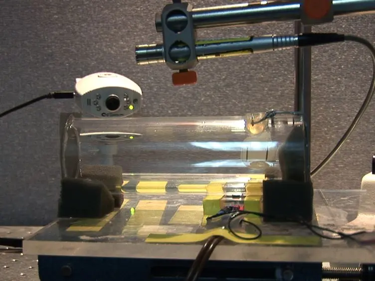 A Low Cost Setup for Behavioral Audiometry in Rodents