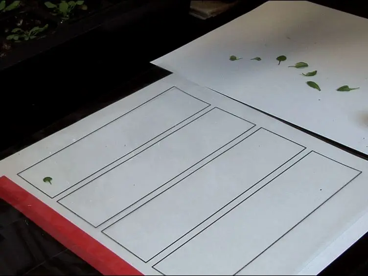 LeafJ: An ImageJ Plugin for Semi-automated Leaf Shape Measurement