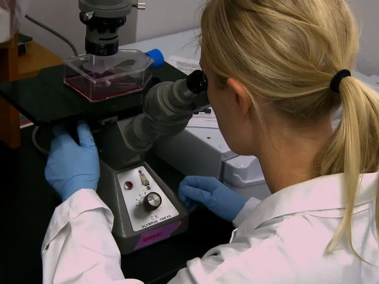 Molecular Imaging to Target Transplanted Muscle Progenitor Cells