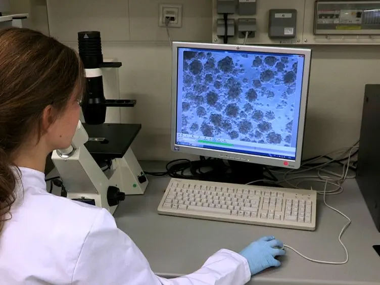 Na&iuml;ve Adult Stem Cells Isolation from Primary Human Fibroblast Cultures