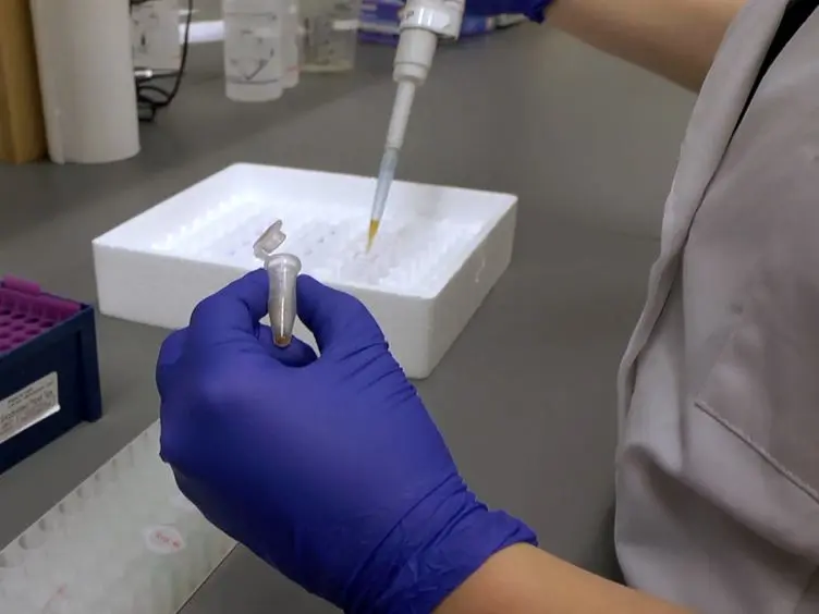 Rapid Colorimetric Assays to Qualitatively Distinguish RNA and DNA in Biomolecular Samples