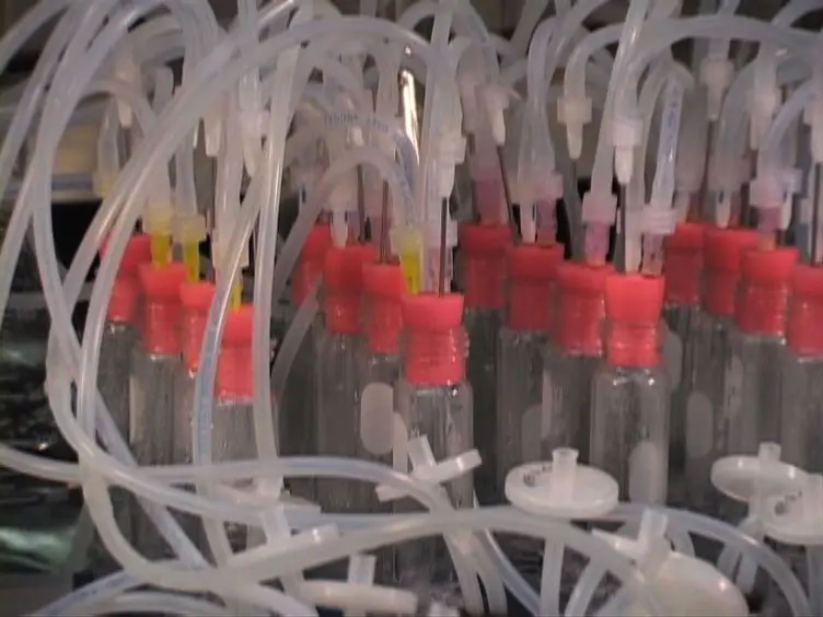 Design and Use of Multiplexed Chemostat Arrays