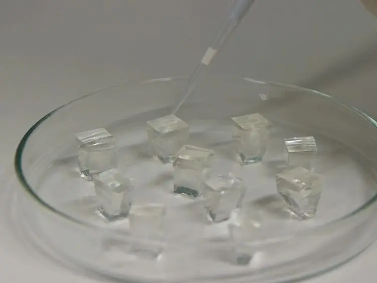 Creating Adhesive and Soluble Gradients for Imaging Cell Migration with Fluorescence Microscopy