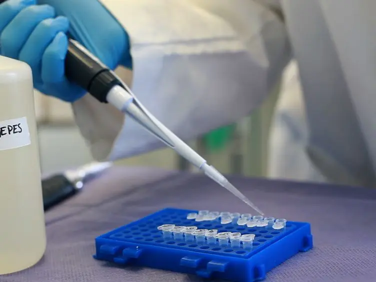 A High-throughput Method for Measurement of Glomerular Filtration Rate in Conscious Mice