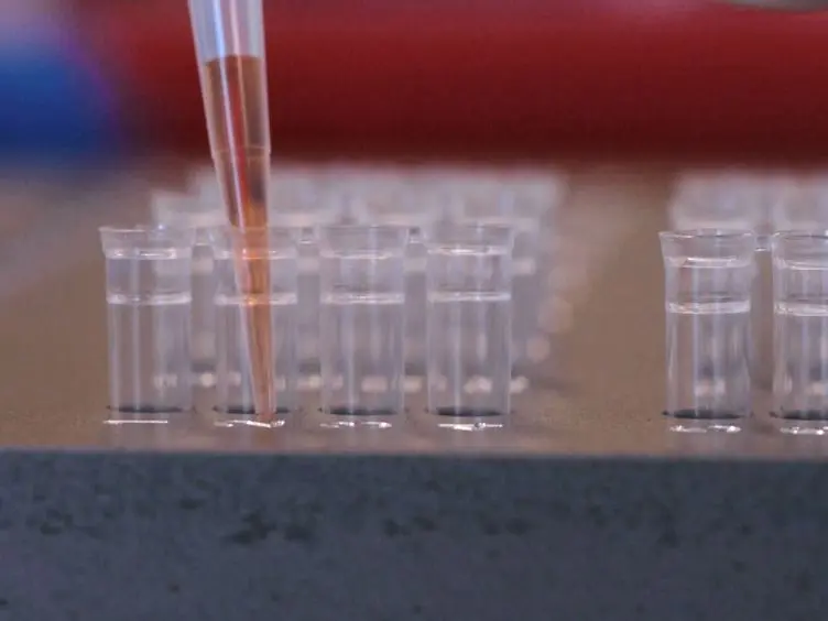Pyrosequencing for Microbial Identification and Characterization