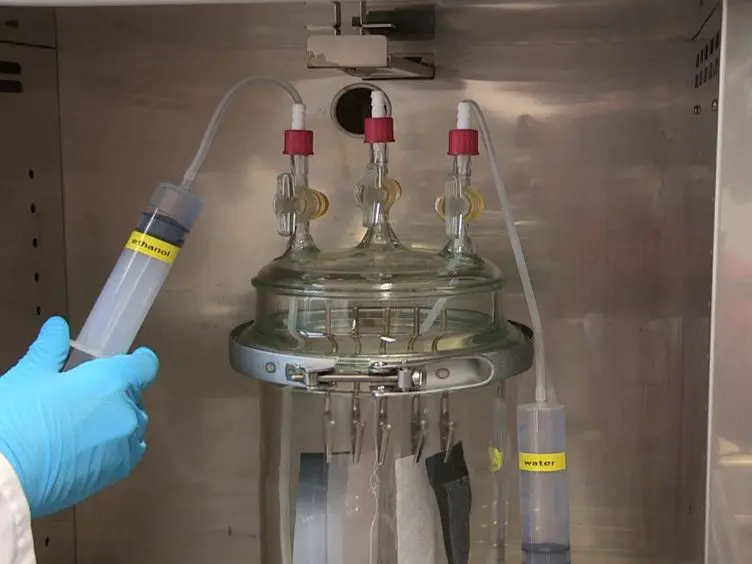 Air Filter Devices Including Nonwoven Meshes of Electrospun Recombinant Spider Silk Proteins
