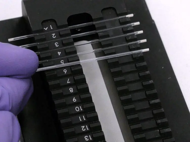 Protein Purification-free Method of Binding Affinity Determination by Microscale Thermophoresis