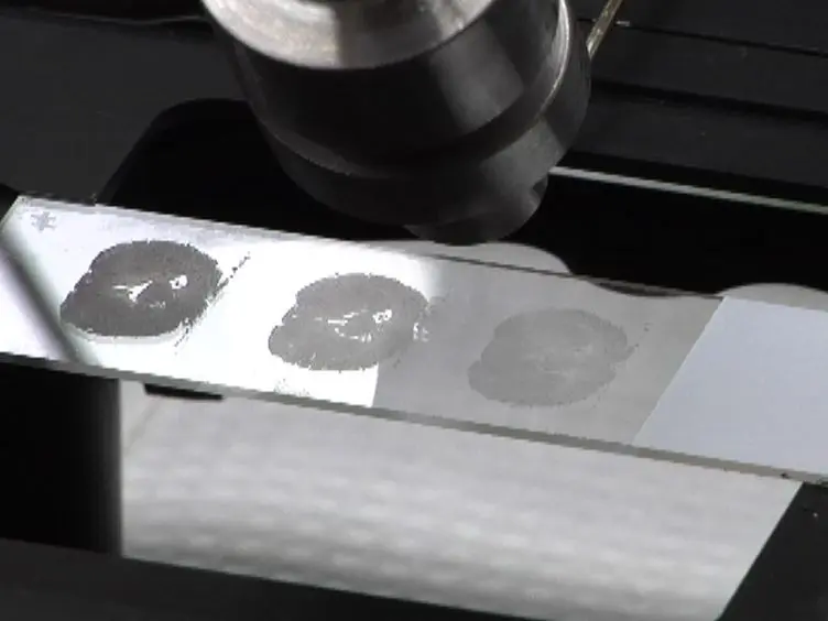 Imaging of Biological Tissues by Desorption Electrospray Ionization Mass Spectrometry
