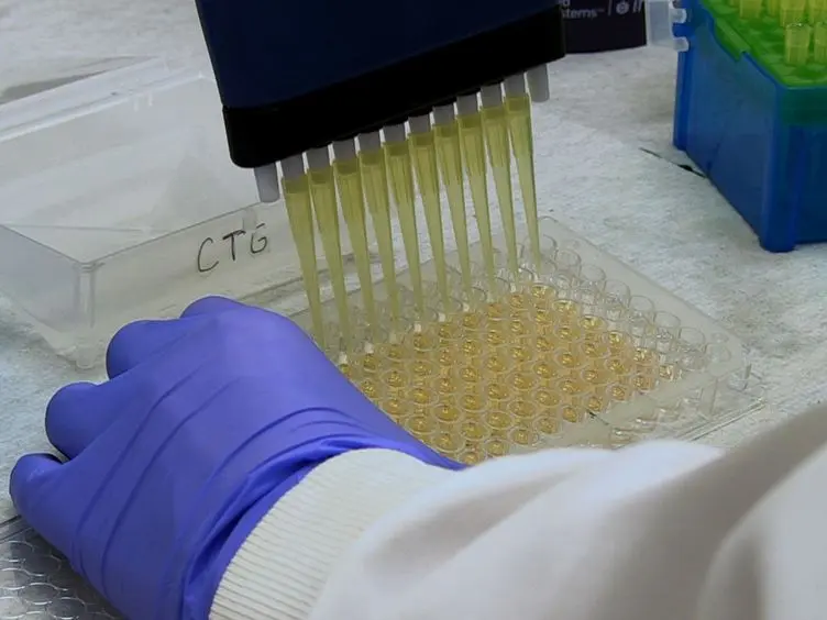 Viability Assays for Cells in Culture