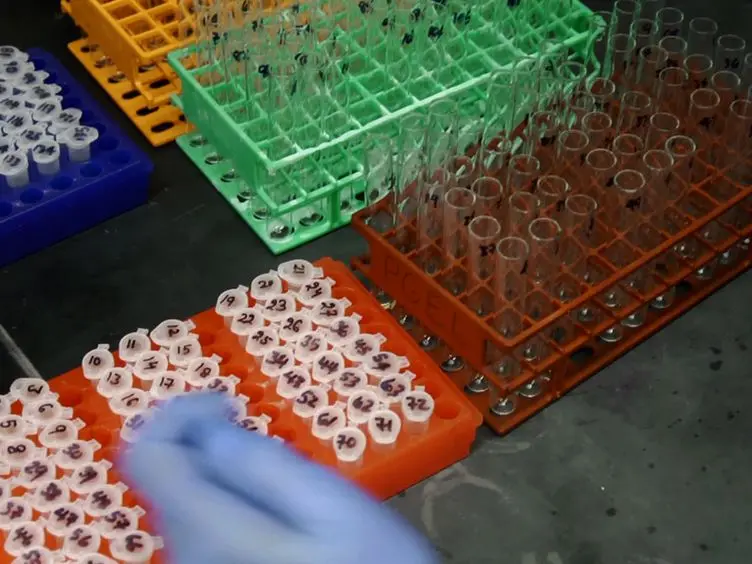 A Protocol for Phage Display and Affinity Selection Using Recombinant Protein Baits