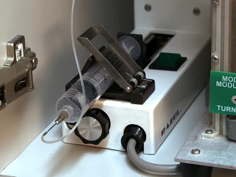 A Procedure to Study the Effect of Prolonged Food Restriction on Heroin Seeking in Abstinent Rats