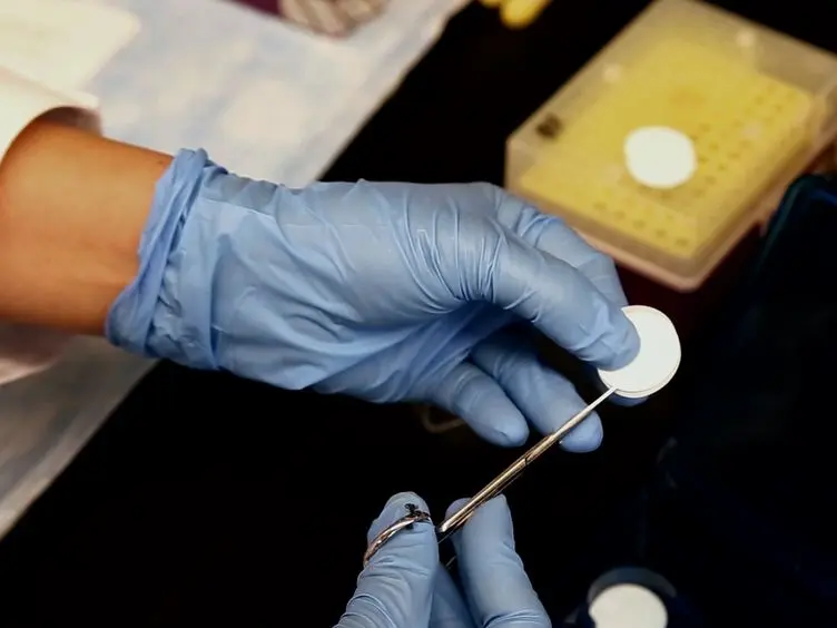 Identifying DNA Mutations in Purified Hematopoietic Stem/Progenitor Cells