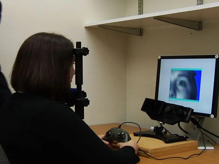 Using Eye Movements to Evaluate the Cognitive Processes Involved in Text Comprehension