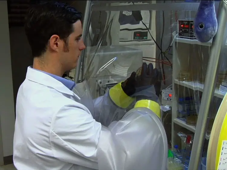 Culturing and Maintaining <em>Clostridium difficile</em> in an Anaerobic Environment
