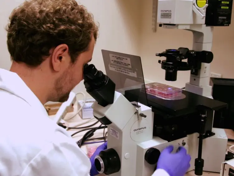 Rescue of Recombinant Newcastle Disease Virus from cDNA