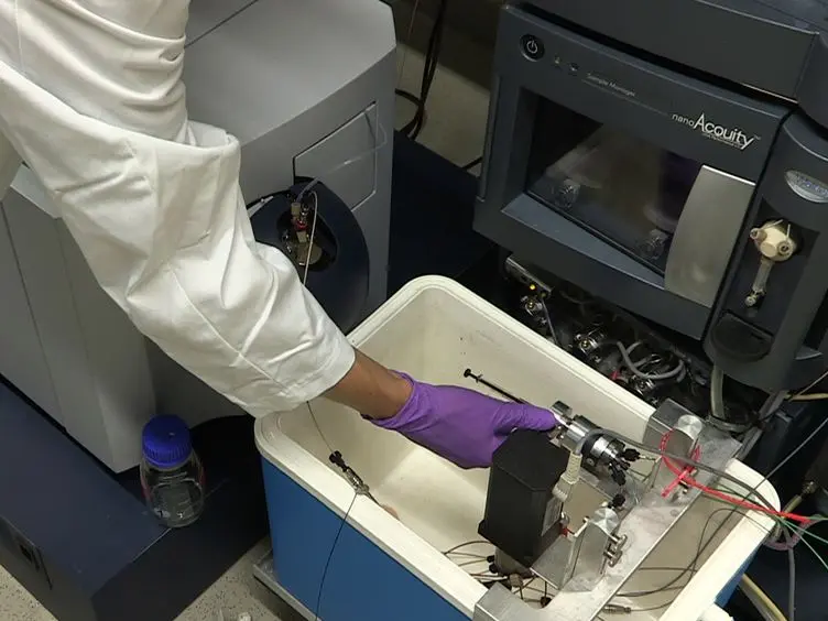 Analyzing Protein Dynamics Using Hydrogen Exchange Mass Spectrometry