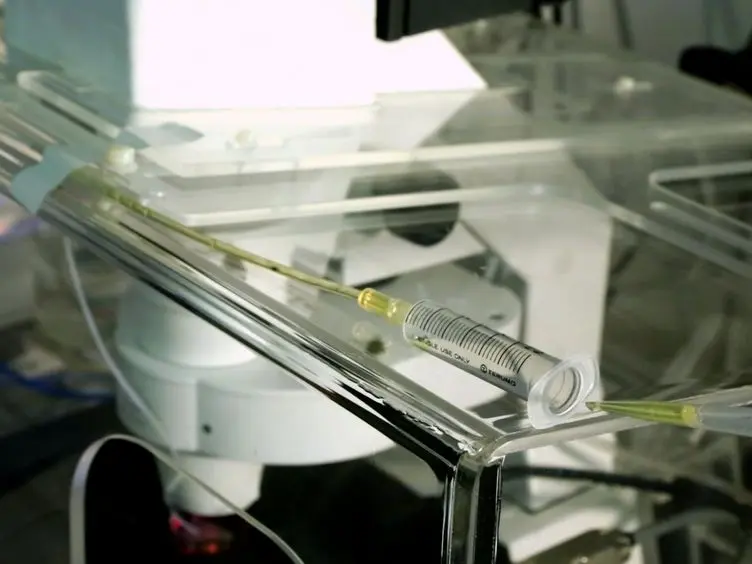Use of pHluorin to Assess the Dynamics of Axon Guidance Receptors in Cell Culture and in the Chick Embryo