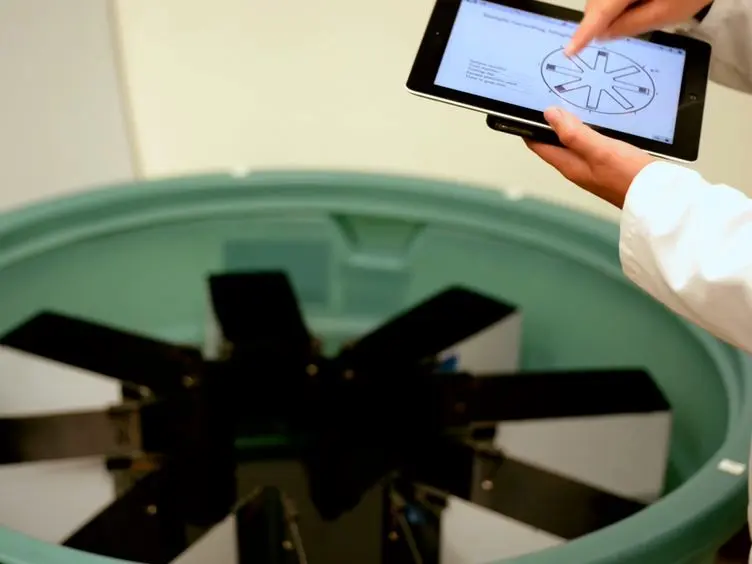 Use of an Eight-arm Radial Water Maze to Assess Working and Reference Memory Following Neonatal Brain Injury