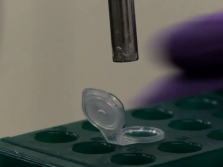 Characteristics of Precipitation-formed Polyethylene Glycol Microgels Are Controlled by Molecular Weight of Reactants