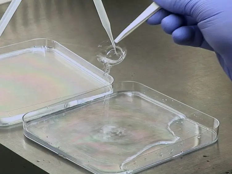 Preparation of Hydroxy-PAAm Hydrogels for Decoupling the Effects of Mechanotransduction Cues